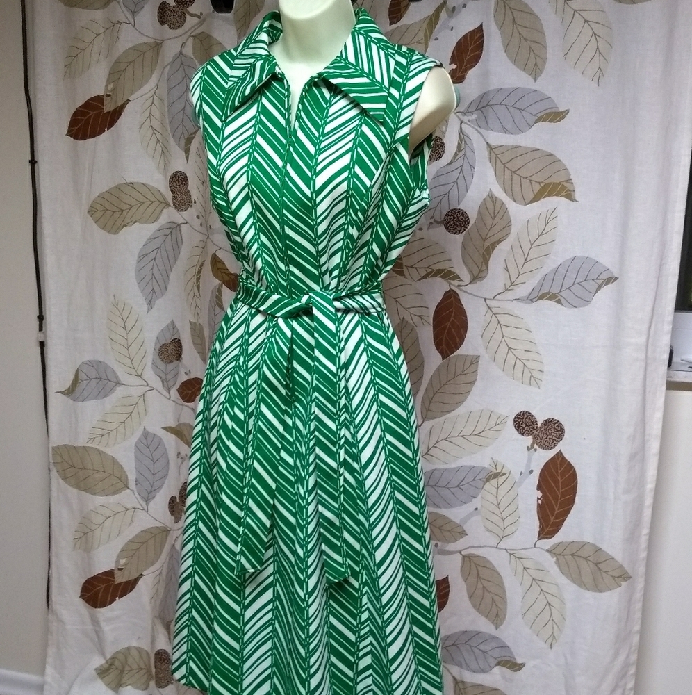 1970s Lady Carol dress